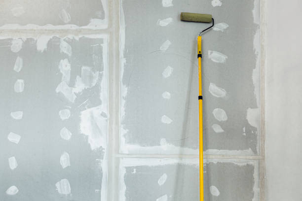 Best Basement Mold Removal  in Homer, IL