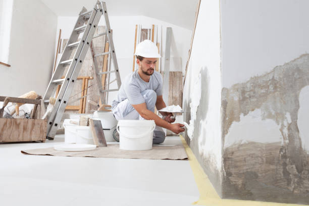 Best Real Estate Mold Inspection  in Homer, IL