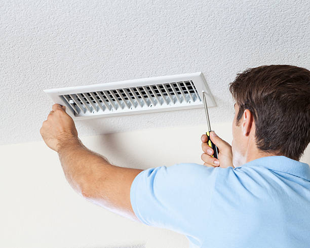 Best Mold Damage Restoration  in Homer, IL